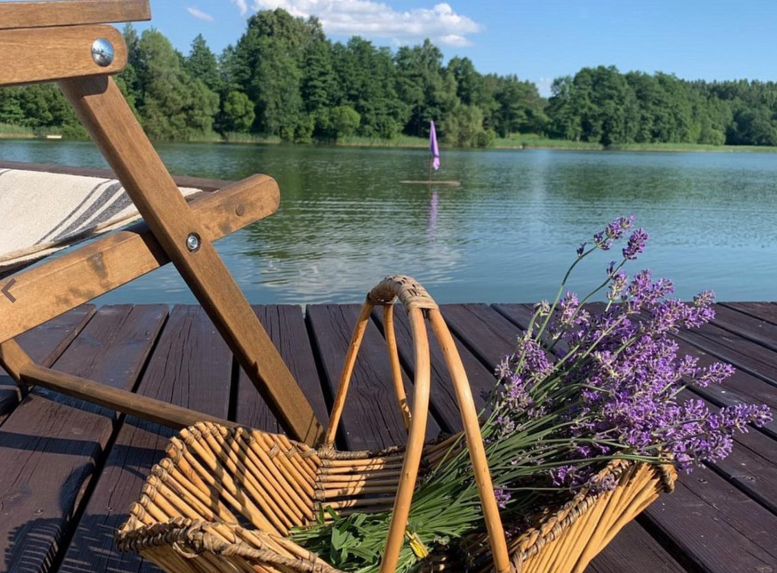 Тур на лавандовое поле