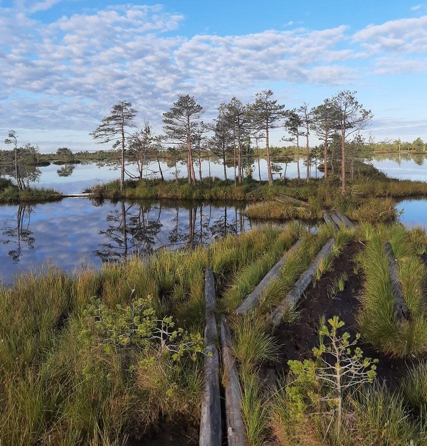 Туры на Ельню из Витебска и Минска