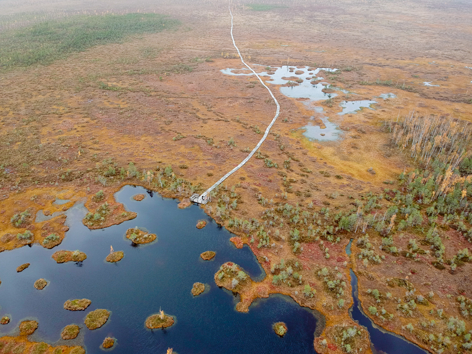 Туры на Ельню для профсоюзных организаций