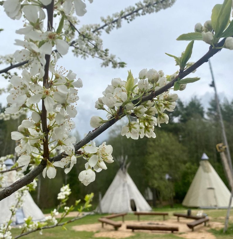 Туры в Утрину из Витебска