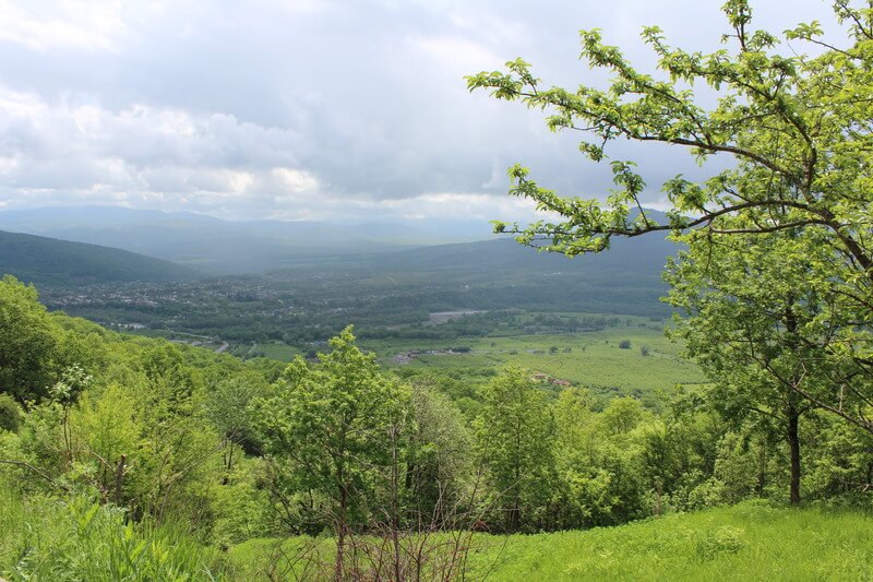 лаго-наки