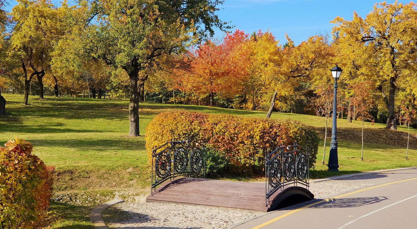 Тур в Лошицу из Витебска