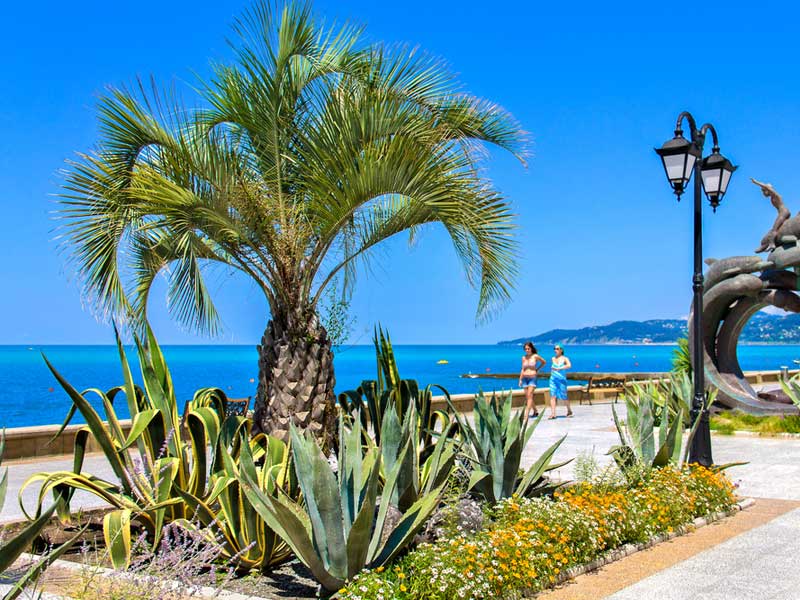 Автобусные туры в Краснодарский край