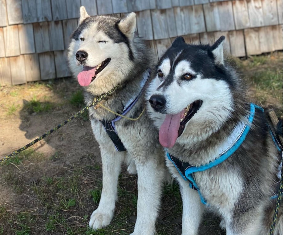 Туры в Утрину из Витебска