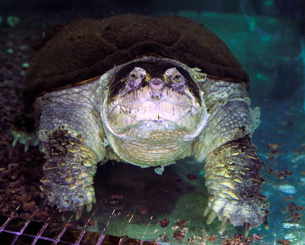 Туры в Центр океанографии из Витебска