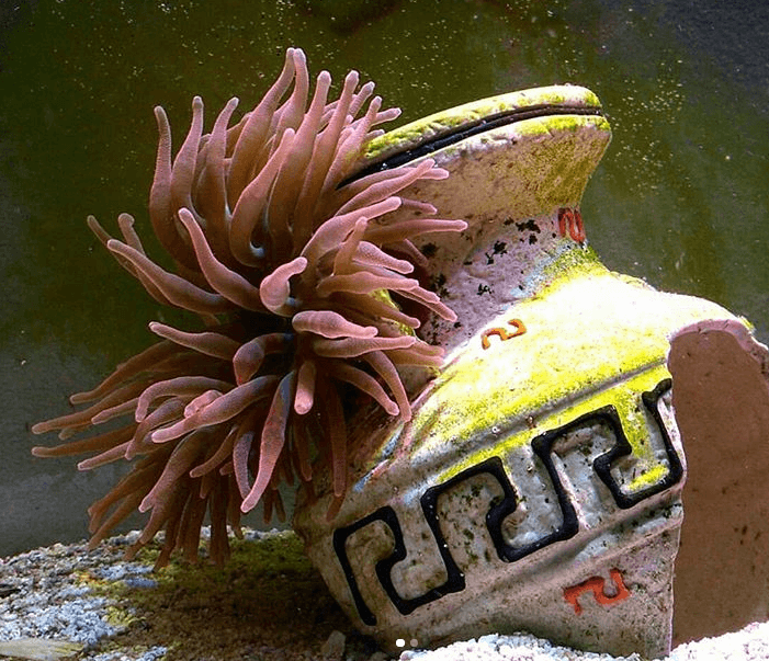 Туры в Центр океанографии из Витебска