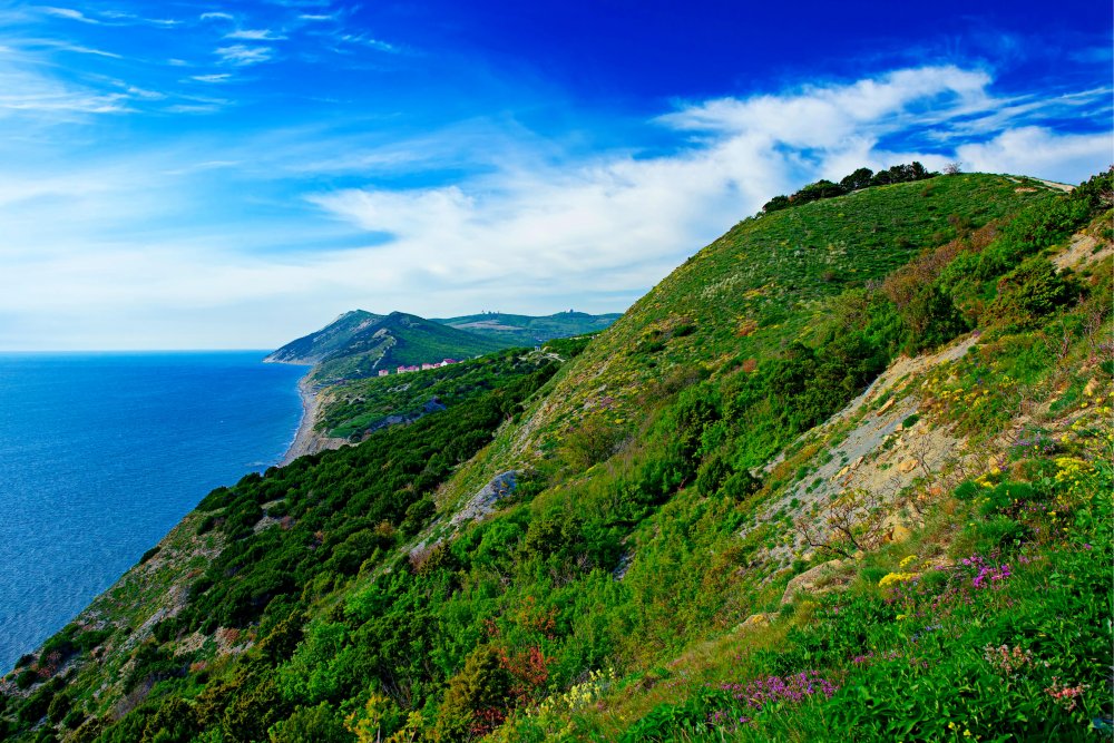 Автобусные туры в Анапу из Гродно