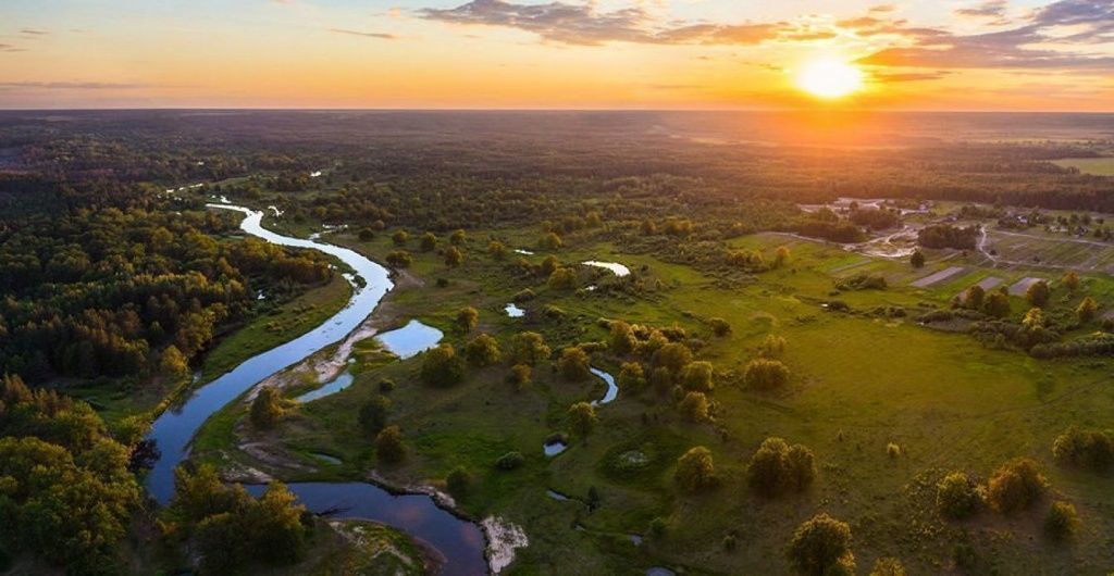 налибокская пуща