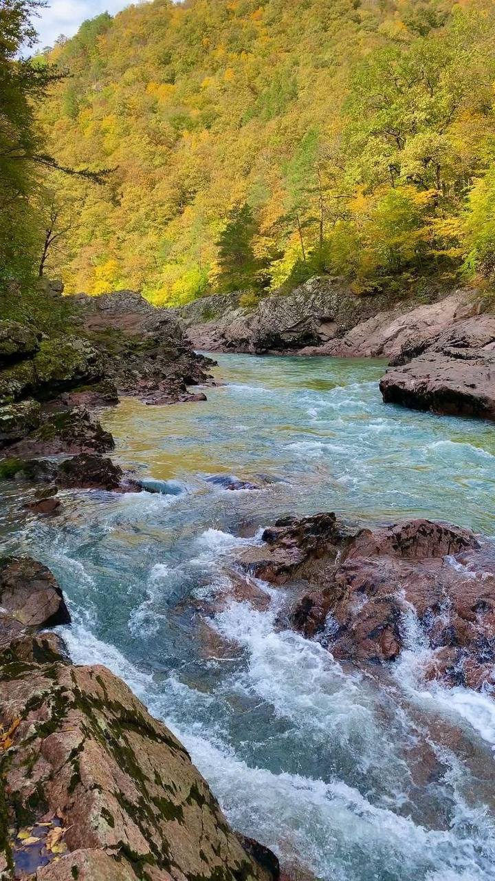 Отдых в Адыгее