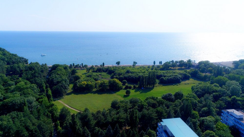 Дубравушка