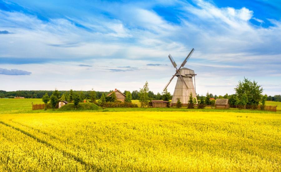 Комплекс Дудутки экскурсия из Витебска