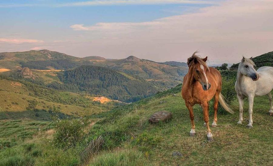 Отпуск в горах Домбая