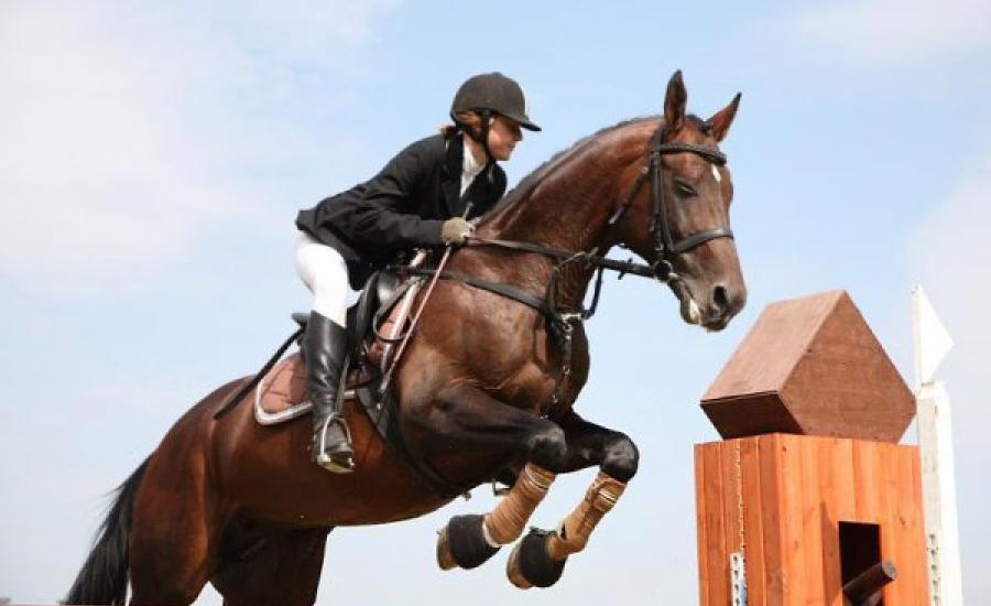 Ратомка конный клуб экскурсия из Минска