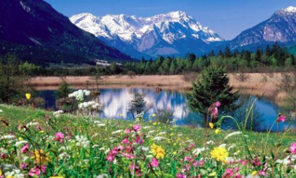 альпийские луга