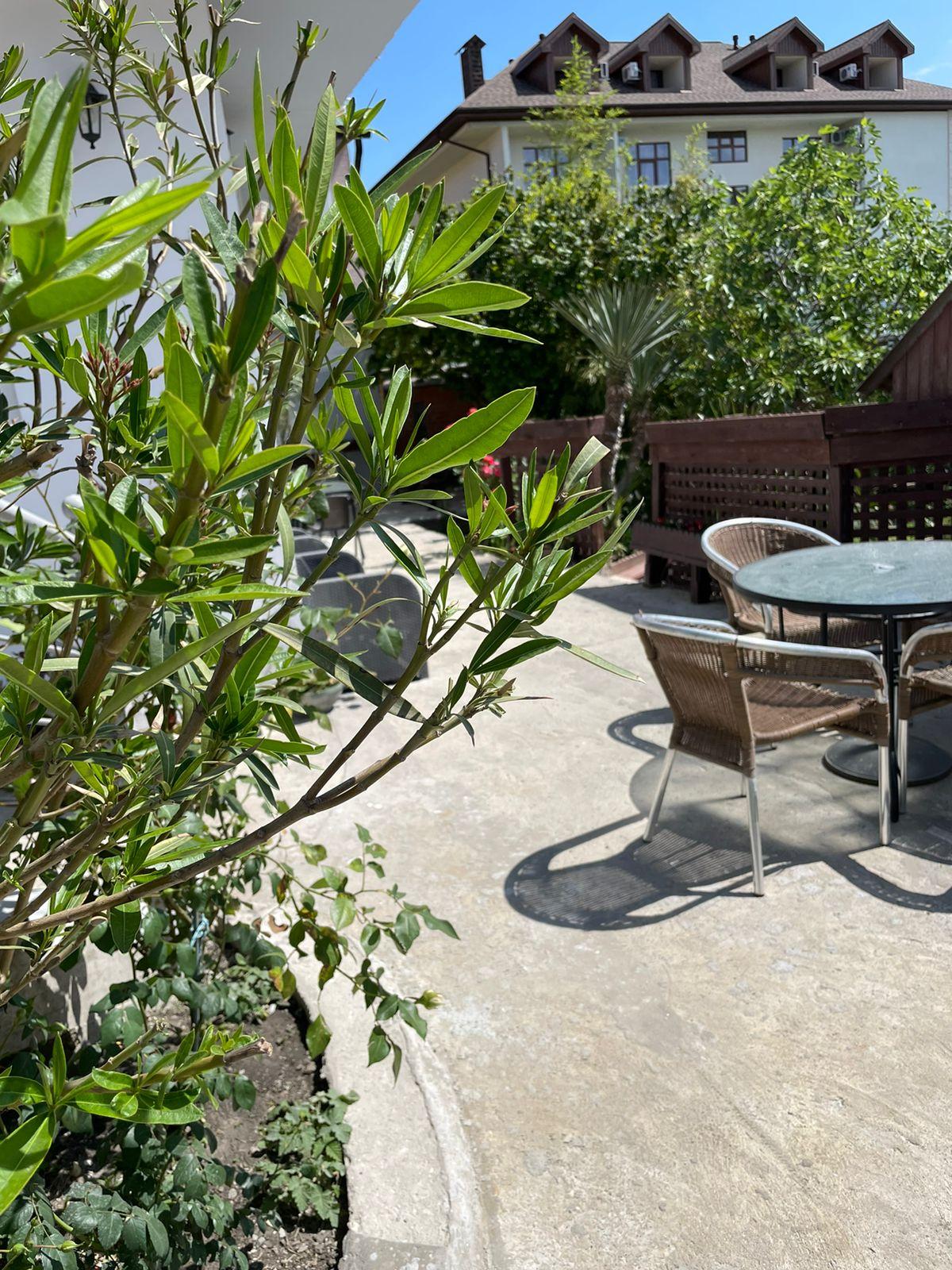 южный колорит