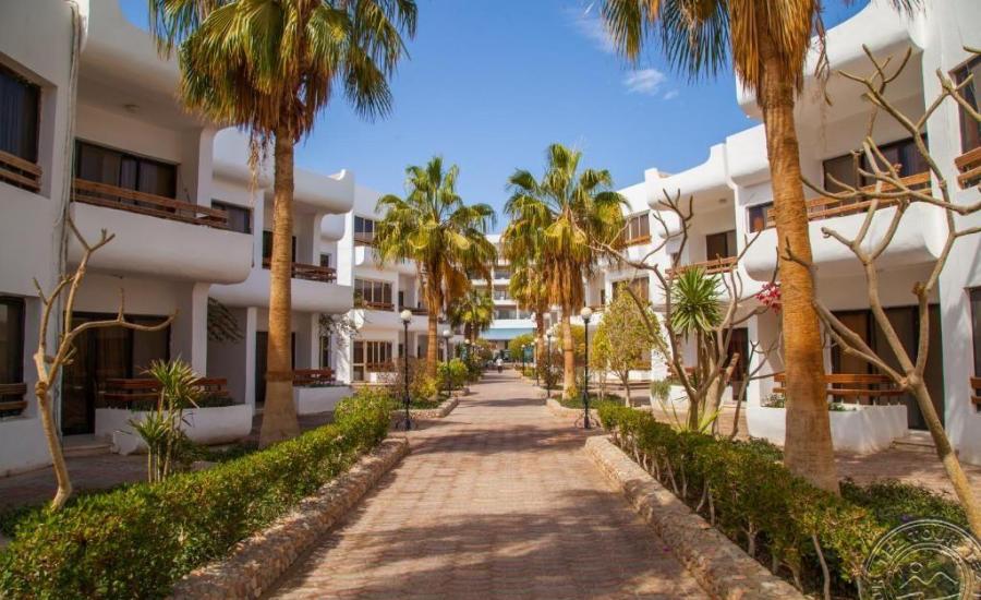 Отдых в Египте из Витебска. Отель MARLIN INN AZUR RESORT