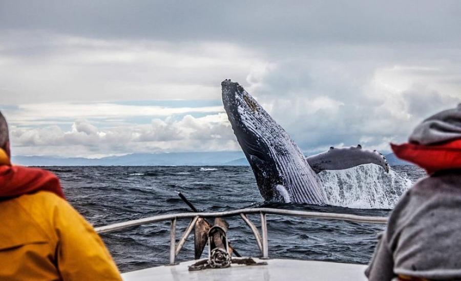Автобусный тур в Мурманск